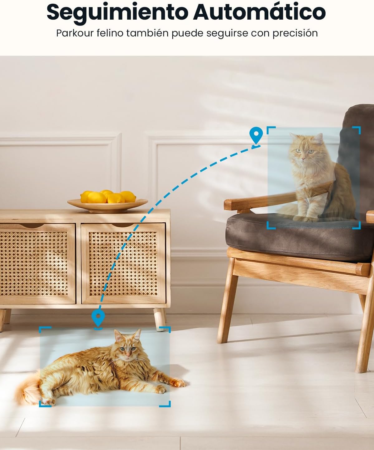 Telecamera Sorveglianza WiFi Interno 5MP 360° PTZ | ieGeek - immagine 7